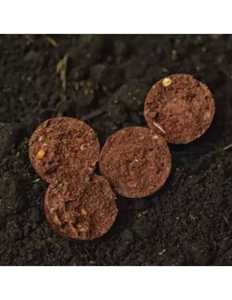 Boilies WLC Carp Eco Boilies, Octo Squid Fruits, 1kg Boilies WLC Carp Eco Boilies, Octo Squid Fruits, 1kg