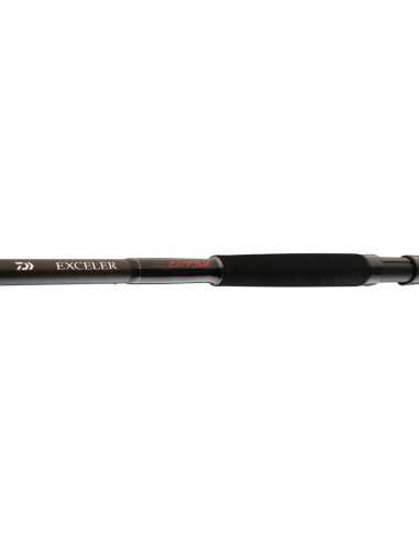 Lanseta Daiwa Exceler Catfish, 3.00m, 200-600g, 2buc