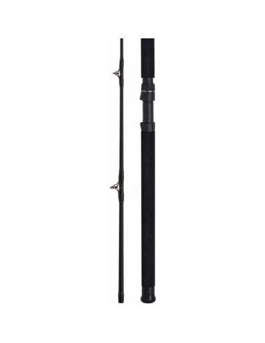 Lanseta WFT Never Crack Bank Cat, 2.70m, 200-1000g, 2buc