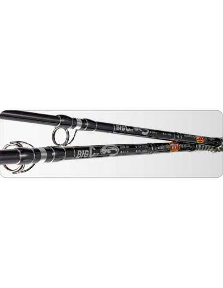 Lanseta WFT Big Cat Bank Cat, 3.15m, 200-1000g, 2buc