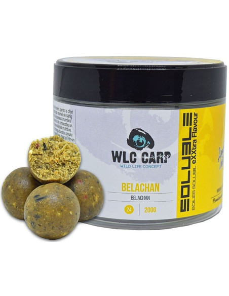 Boilies Solubil de Carlig WLC Carp, Belachan, 24mm, 200g Boilies Solubil de Carlig WLC Carp, Belachan, 24mm, 200g