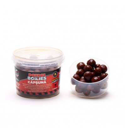 Miniboilies Dipuit Feeder Pentru Carlig Capsuna Senzor 8-10mm 50g