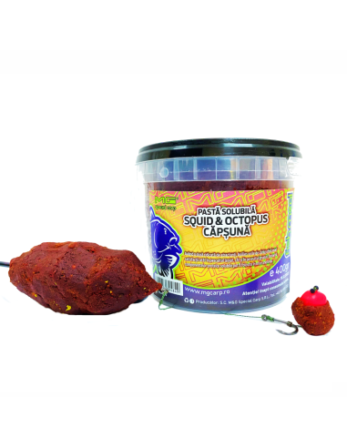 Pasta Solubila MG Special Carp, Squid&Octopus Capsuna, 400g