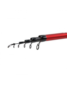 Lanseta Formax Avatar Bolo, 5.00m, 10-30g 2