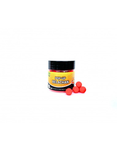 Pop-Up MG Special Carp, Belachan, 8mm, 50buc