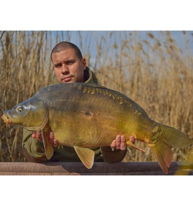 WLC Carp Mini Pop-ups 8mm