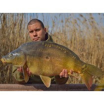 WLC Carp Mini Pop-ups 8mm WLC Carp Mini Pop-ups 8mm