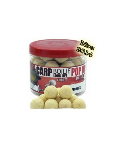Pop Up Haldorado Carp Boilie Long Life, FermentX, 16mm, 40g Pop Up Haldorado Carp Boilie Long Life, FermentX, 16mm, 40g