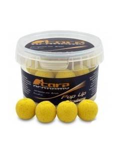 Pop Up Carp Academy Boilies, Royal Honey, 20mm, 100g