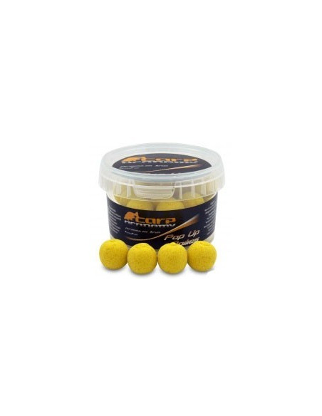 Pop Up Carp Academy Boilies, Royal Honey, 20mm, 100g Pop Up Carp Academy Boilies, Royal Honey, 20mm, 100g