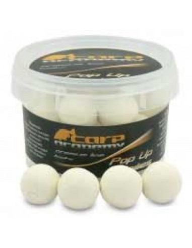 Pop Up Carp Academy Fluo Boilie, White Spice, 20mm, 100g