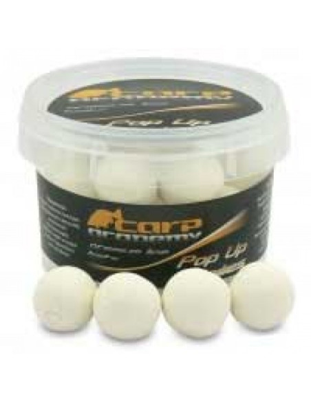 Pop Up Carp Academy Fluo Boilie, White Spice, 20mm, 100g Pop Up Carp Academy Fluo Boilie, White Spice, 20mm, 100g