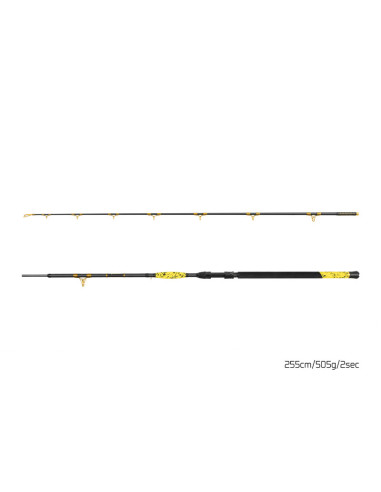 Lanseta Delphin Hazard BxG, 2.55m, 505g, 2buc