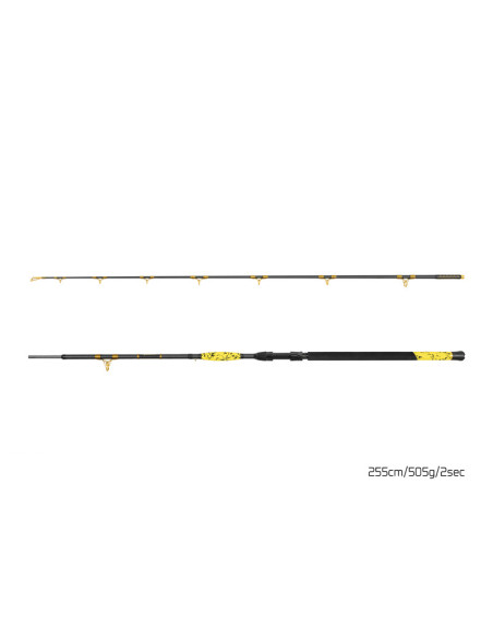 Lanseta Delphin Hazard BxG, 2.55m, 505g, 2buc