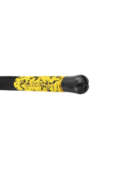 Lanseta Delphin Hazard BxG, 2.55m, 505g, 2buc