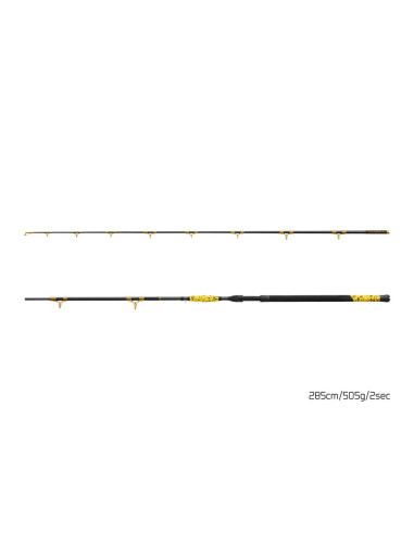 Lanseta Delphin Hazard BxG, 2.85m, 505g, 2buc