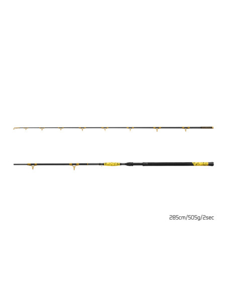 Lanseta Delphin Hazard BxG, 2.85m, 505g, 2buc Lanseta Delphin Hazard BxG, 2.85m, 505g, 2buc