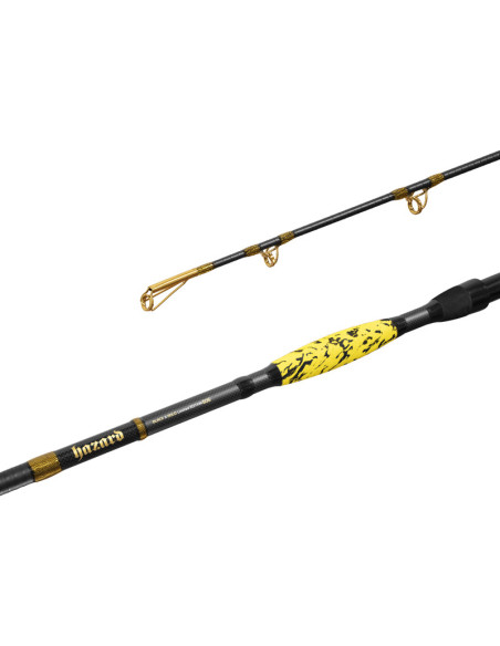 Lanseta Delphin Hazard BxG, 3.10m, 505g, 2buc Lanseta Delphin Hazard BxG, 3.10m, 505g, 2buc