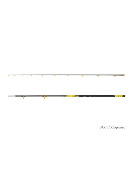 Lanseta Delphin Hazard BxG, 3.10m, 505g, 2buc Lanseta Delphin Hazard BxG, 3.10m, 505g, 2buc