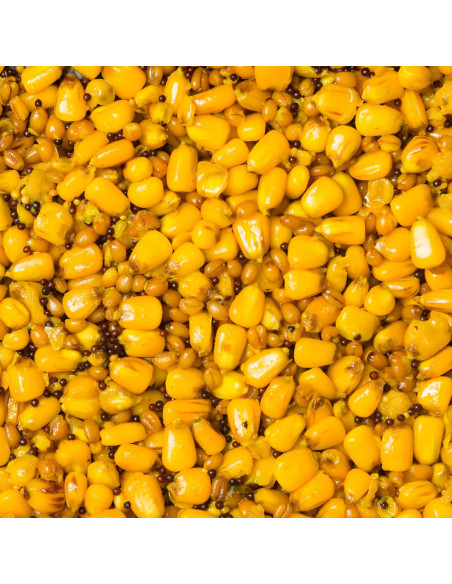 Amestec Seminte Senzor, Usturoi, 5kg Amestec Seminte Senzor, Usturoi, 5kg