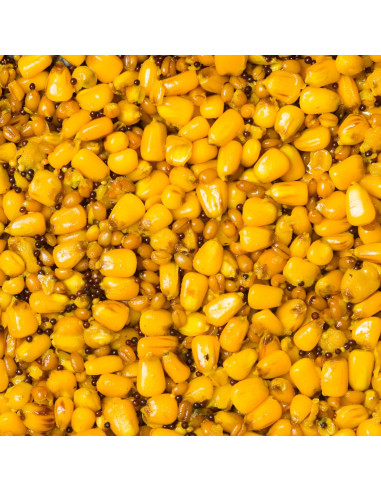 Mix Seminte Preparate Senzor, Betaina, 800g