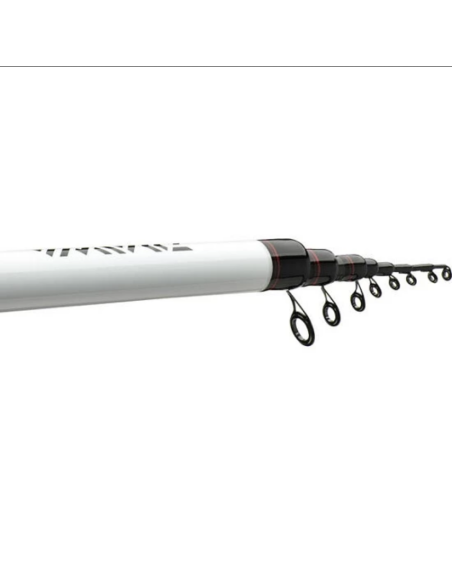 Lanseta Daiwa Ninja Bolo, 4m, 25g