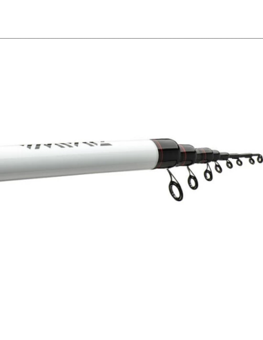 Lanseta Daiwa Ninja Bolo, 5m, 25g