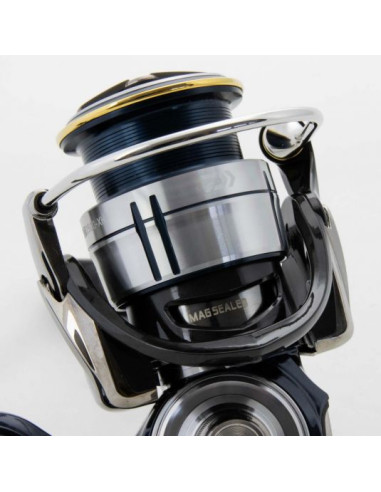 Mulineta Daiwa Certate G LT