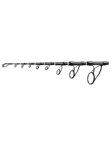 Lanseta Hakuyo MTX Class Maxx New Concept, 3.90m, 4lbs, 2buc