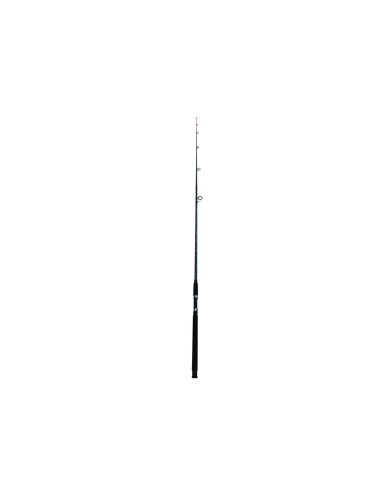 Lanseta Wind Blade Titanium Carp A-2, 2.10m, 100-300g, 2buc
