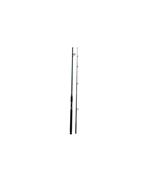 Lanseta Wind Blade Titanium Carp A-2, 2.40m, 100-300g, 2buc