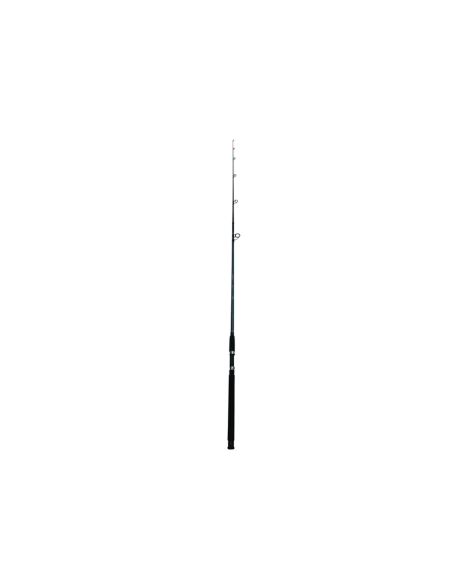 Lanseta Wind Blade Titanium Carp A-2, 3m, 100-300g, 2buc Lanseta Wind Blade Titanium Carp A-2, 3m, 100-300g, 2buc