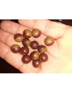 Boilies FireBaits Semisolubil, Inferno, 10mm, 60gr 2