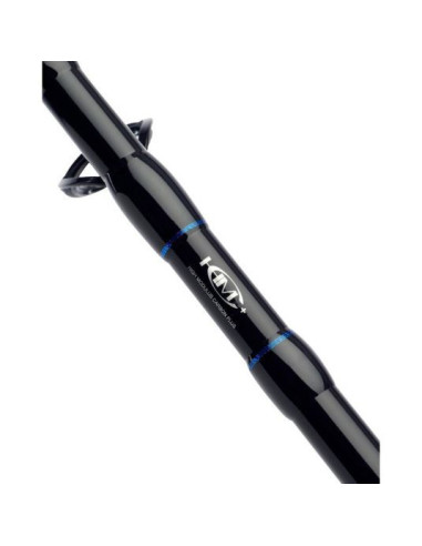 Lanseta Daiwa N'Zon Extension Feeder, 3.05m, 40g, 2+2buc