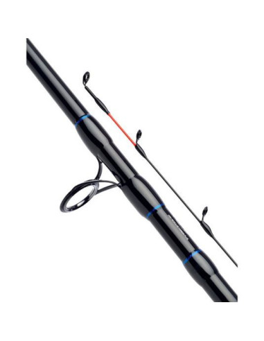 Lanseta Daiwa N'Zon Extension Feeder, 3.05m, 40g, 2+2buc