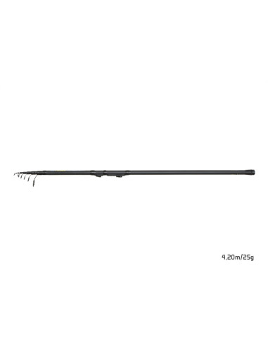 Lanseta Delphin ARIOS TeleMATCH, 4.20m, 25g