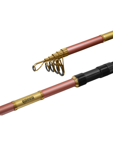 Lanseta Delphin QUEEN Tele, 3m, 100g