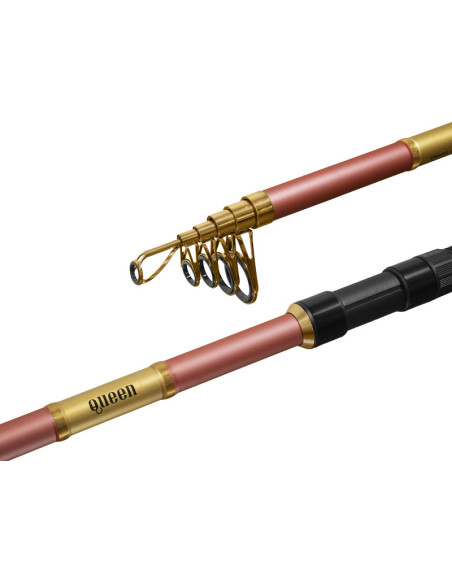 Lanseta Delphin QUEEN Tele, 3m, 100g Lanseta Delphin QUEEN Tele, 3m, 100g
