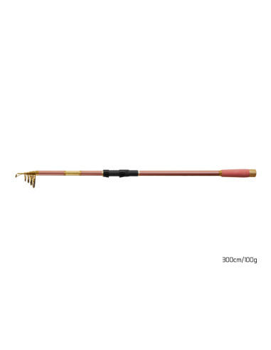 Lanseta Delphin QUEEN Tele, 3m, 100g