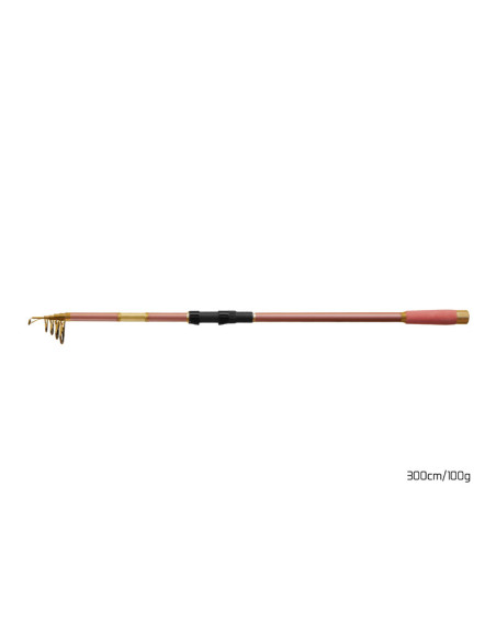 Lanseta Delphin QUEEN Tele, 3m, 100g Lanseta Delphin QUEEN Tele, 3m, 100g