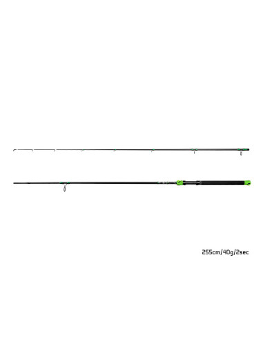Lanseta Delphin GreenCODE, 2.55m, 40gr, 2buc