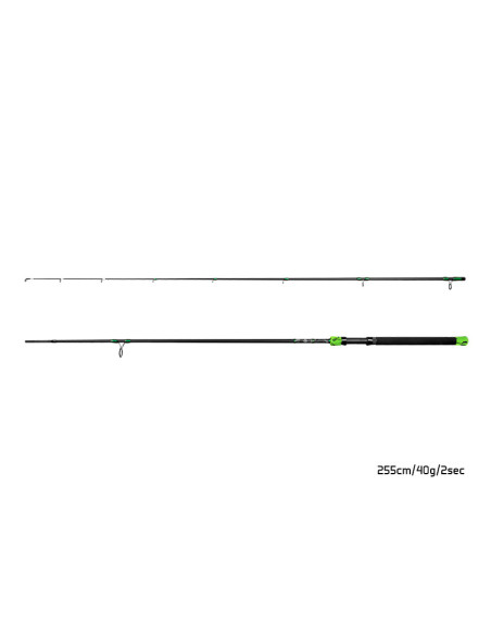 Lanseta Delphin GreenCODE, 2.55m, 40gr, 2buc Lanseta Delphin GreenCODE, 2.55m, 40gr, 2buc