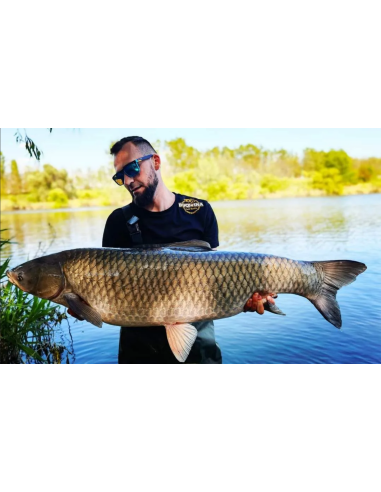 Boilies Bucovina Baits Competition Z, Solubil, 5kg