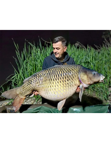 Boilies Bucovina Baits Competition Z, Solubil, 5kg