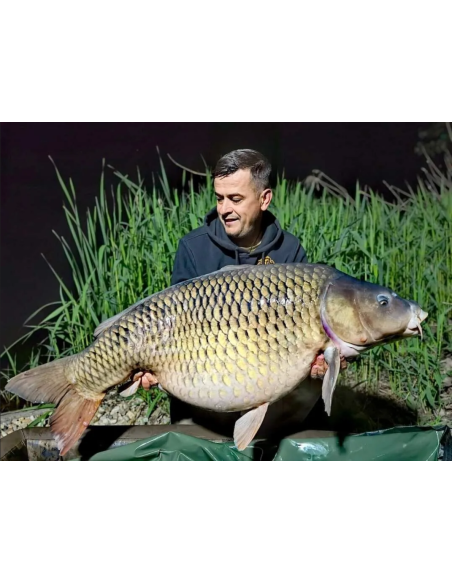 Boilies Bucovina Baits Competition Z, Solubil, 5kg