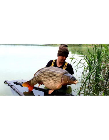 Boilies Bucovina Baits Monster Trap, Tare, 5kg