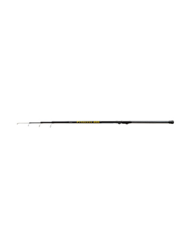 Lanseta Bologneza EnergoTeam Arno Kingfisher Bolo, 6.00m, 15g