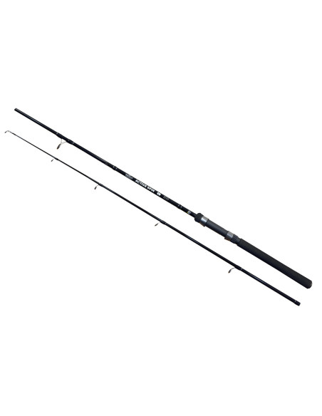 Lanseta EnergoTeam Wizard Active Spin, 2.00m, 10-30g, 2buc Lanseta EnergoTeam Wizard Active Spin, 2.00m, 10-30g, 2buc