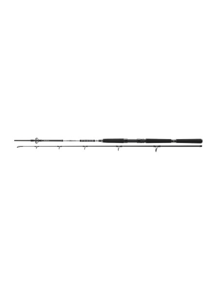 Lanseta Daiwa BG Offshore Pilk, 2.10m, 40-125g, 2buc Lanseta Daiwa BG Offshore Pilk, 2.10m, 40-125g, 2buc