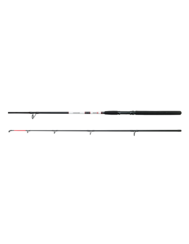 Lanseta DAM Aqua-X Allround, 2.40m, 100-200g, 2buc